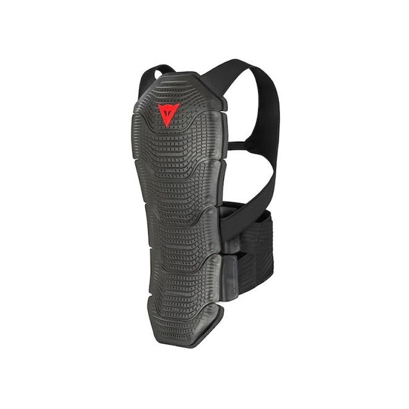 dainese motorcycle back protector