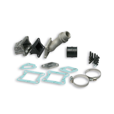 MALOSSI - Complessivo collettore lamellare al cilindro PHBL 25 per Ves