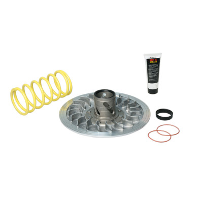 MALOSSI - TORQUE DRIVER 4stroke
