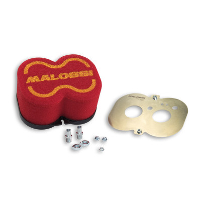 MALOSSI - Filtro aria RED FILTER E19