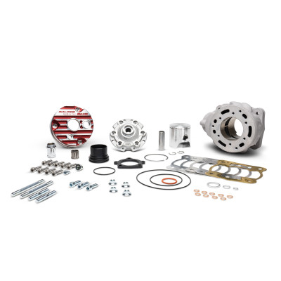 MALOSSI - Alum-cyl.kit ø 52 mhr 100 flanged mount