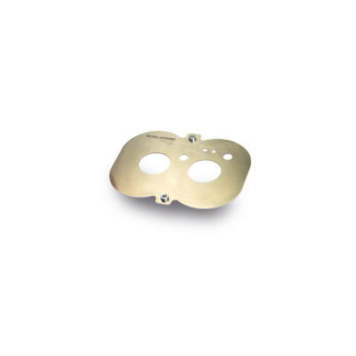 MALOSSI - PLATE for RED FILTER E19