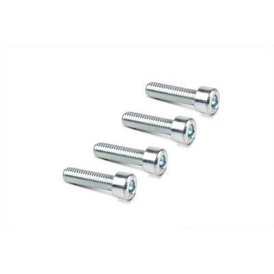 MALOSSI - 4 TORNILLOS TCCE M 8x30