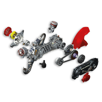 MALOSSI - C-ONE 70cc Piaggio Motor komplett (Rad 12/13) - nicht zusamm
