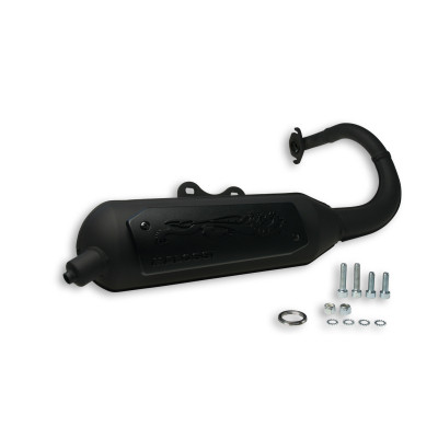 MALOSSI - EXHAUST SYS. WILD LION homologated