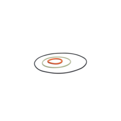 MALOSSI - O-RING SET Ø 40-47,6 for CYL.KITS (PIAGGIO)