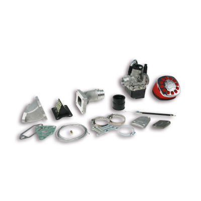 MALOSSI - CARB.KIT PHBL 25 B reed cyl. MHR VESPA ET3 Primavera 125