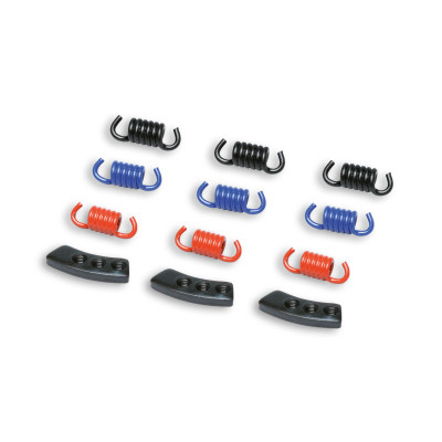 MALOSSI - Mhr spring set delta/fly clutch
