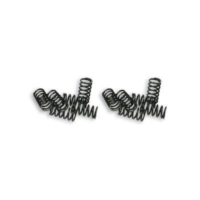 MALOSSI - 12 kupplungfedern p. ape fl/ vespa pk fl/ pk hp fl 50- pk fl