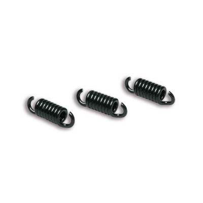 MALOSSI - 3 MUELLES para MAXI DELTA CLUTCH MHR