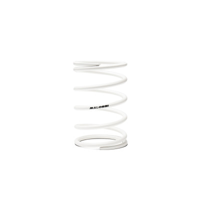 MALOSSI - WHITE VARIATOR ADJUSTER SPRING ext.Ø 88x135mm thread Ø 7mm 1