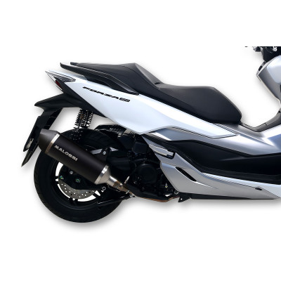 MALOSSI - % EXHAUST S. RX Black
