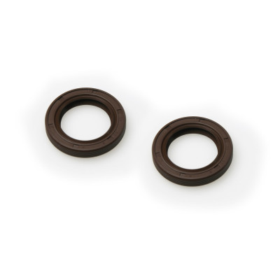 MALOSSI - 2 paraolio Ø 20x30x5 mm in FKM / PTFE per albero motore lato