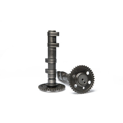 MALOSSI - Double POWER CAM Nockenwelle