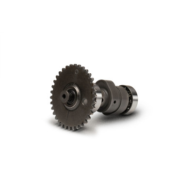 MALOSSI - Albero a camme POWER CAM