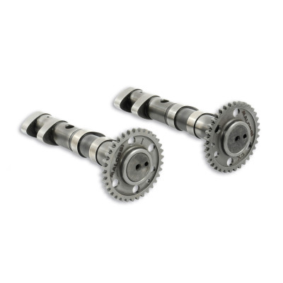 MALOSSI - % Double POWER CAM Nockenwelle