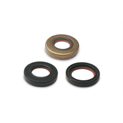MALOSSI - Serie paraolio in FKM / PTFE per revisione per moto Minarell