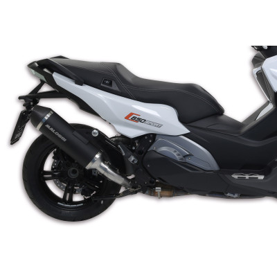 MALOSSI - MAXI WILD LION homologated SILENCER for ORIGINAL / Malossi M