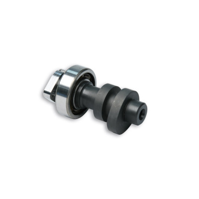 MALOSSI - Albero a camme POWER CAM
