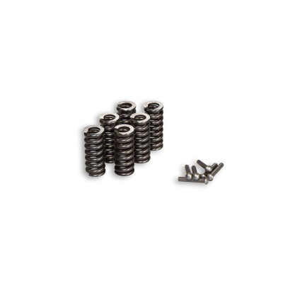MALOSSI - Complessivo molle per parastrappi Vespa PX 125 - 200 cc