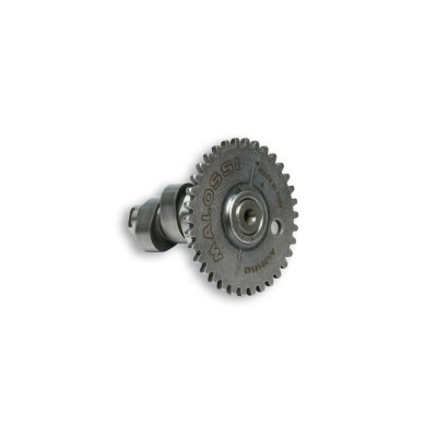 MALOSSI - Albero a camme POWER CAM