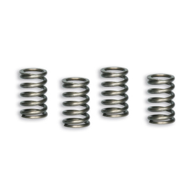 MALOSSI - RACING FEDERNSATZ auss.Ø 18,7mm Ø Draht 2,7mm Länge 30,5mm f
