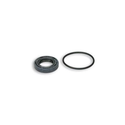 MALOSSI - KIT RETÉN DEL ACEITE / JUNTA TORICA para ENCEND. CON ROTOR I