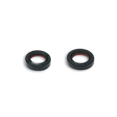 MALOSSI - SERIE PARAOLIO in FKM / PTFE per albero motore per scooter P