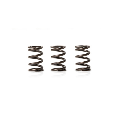 MALOSSI - 3 VENTILFEDERN auss.Ø 18x28,2 mm Ø Draht 2,5 mm