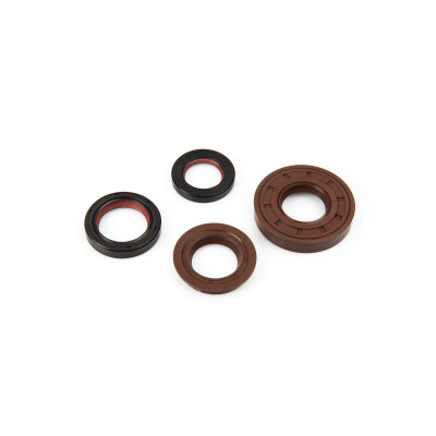 MALOSSI - Serie paraolio in FKM / PTFE per revisione per scooter Minar