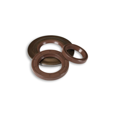 MALOSSI - SERIE paraolio in FKM per revisione per Vespa Cosa - PX - T5
