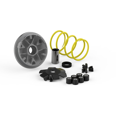 MALOSSI - VARIATOR MULTIVAR for SCOOTER