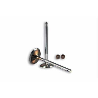 MALOSSI - % 4 stroke valve