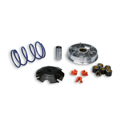 MALOSSI - Variatore MULTIVAR 2000 per Peugeot 100 cc KAT