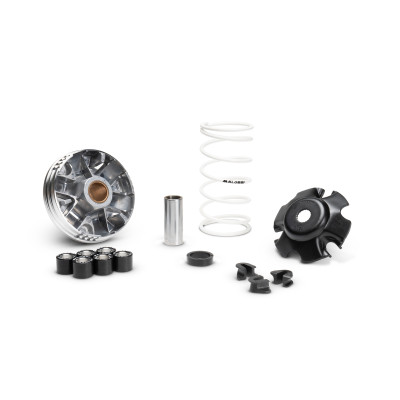 MALOSSI - VARIATOR MULTIVAR 2000 for SCOOTER 50 4t