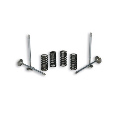 MALOSSI - 4 STROKE VALVE avec RESSORTS pour CULASSE D'ORIGINE