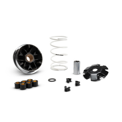 MALOSSI - Variatore MULTIVAR 2000 per scooter 4T 50 cc