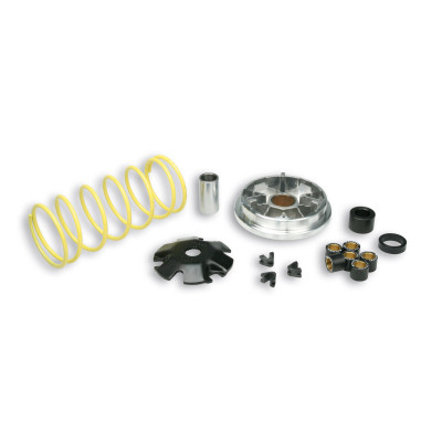 MALOSSI - Variatore MULTIVAR per Piaggio Sfera - ZIP 2T 50 cc