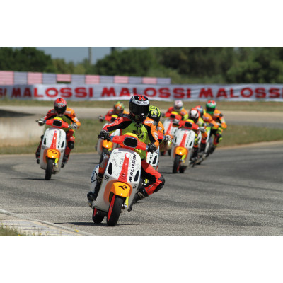 MALOSSI - KIT of stickers TROPHY VESPA