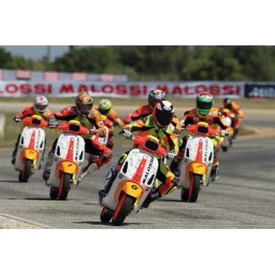 MALOSSI - Kit adesivi Trofeo Vespa