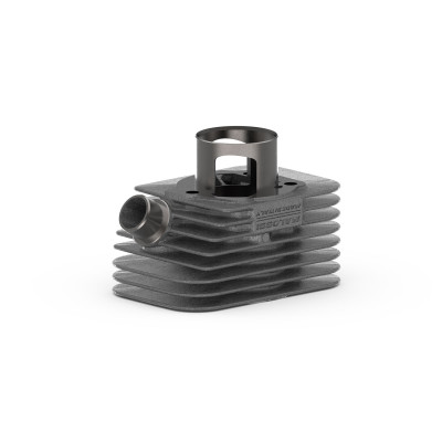 MALOSSI - CYLINDRE fonte axe Ø 10 BASE+CVF