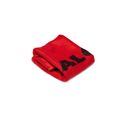 MALOSSI - PAÑO MICROFIBRA MALOSSI 45X30 cm