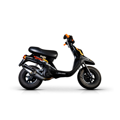 MALOSSI - EXHAUST SYSTEM FLIP homologated
