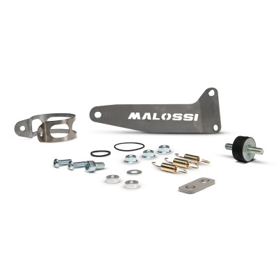 MALOSSI - Exhaust system supermoto mhr 100
