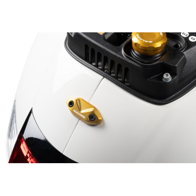 MALOSSI - Rear grab rail tag gold