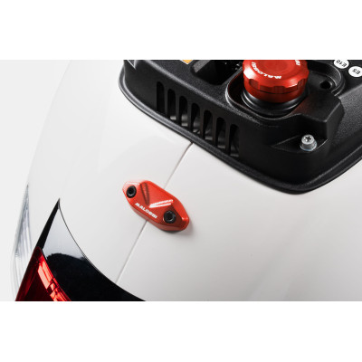 MALOSSI - Rear grab rail tag red