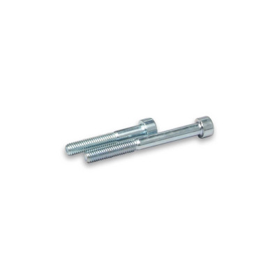 MALOSSI - 2 SCHRAUBEN M 6x40/60