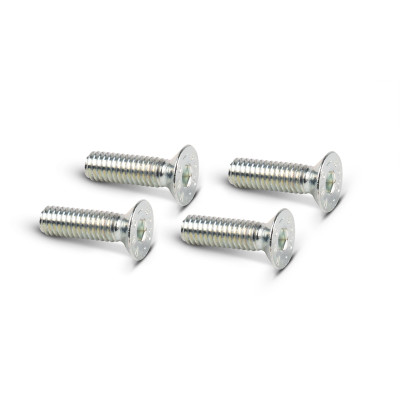 MALOSSI - 4 viti TSCE M 4x14