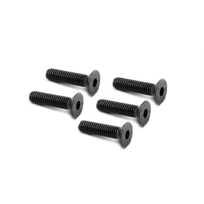 MALOSSI - 5 VIS TSCE M 6x25 (UNI 5933)