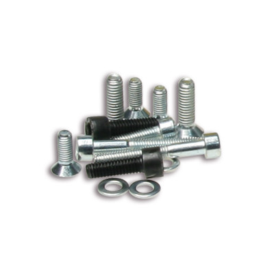 MALOSSI - TORNILLERIA para ENCENDIDO CON ROTOR INT.